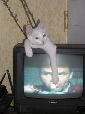 Прикрепленное изображение: 2.JPG